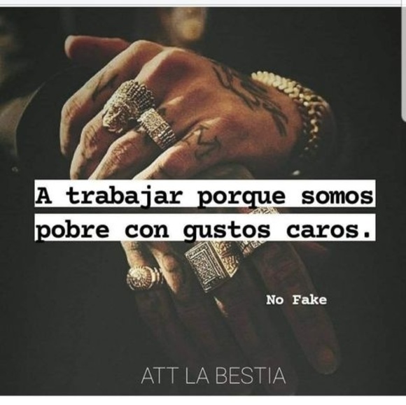 Meet your Posher, David - Picture 1 of 1